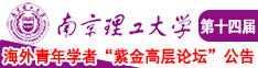 www.骚逼少妇视频南京理工大学第十四届海外青年学者紫金论坛诚邀海内外英才！